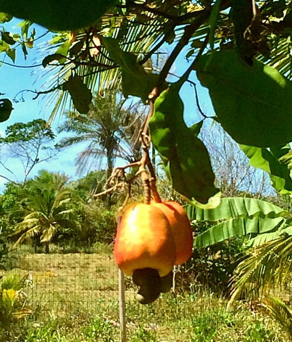 Casa Ohana Barra Grande  Buitenkant foto